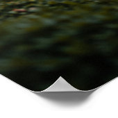 Poster Beautiful Japanese Home & Garden (Coin)