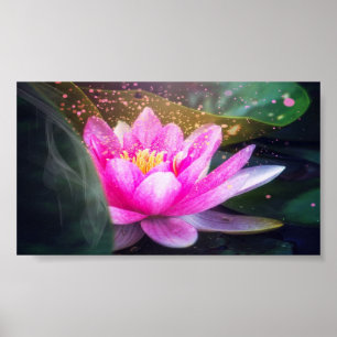 Poster Beautiful Lotus, Landscape, Zen