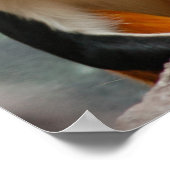 Poster Beautiful Monkey Portrait Profile (Coin)