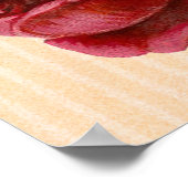 Poster Beautiful Roses (Coin)