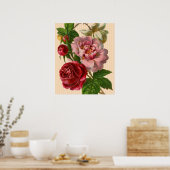 Poster Beautiful Roses (Cuisine)