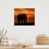 Poster Beautiful Sunset with Silhouette of Elephant (Cuisine)