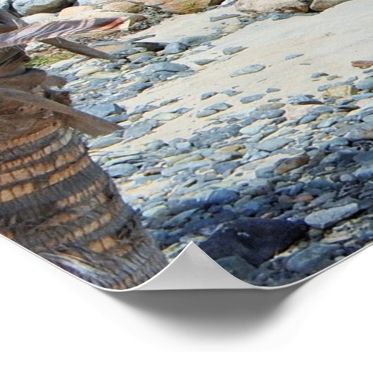 Poster Beautiful Turquoise Tropical Beach (Coin)