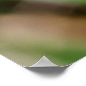 Poster Beautiful Wings (Coin)