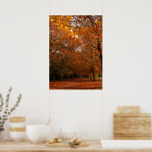 Poster Beaux arbres automnaux (Cuisine)