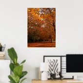 Poster Beaux arbres automnaux (Bureau à domicile)