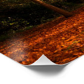 Poster Beaux arbres d'automne (Coin)