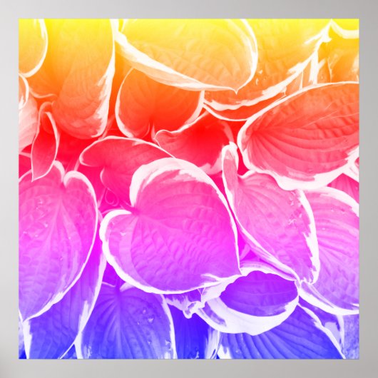 Poster Beaux-arts de feuilles (Devant)