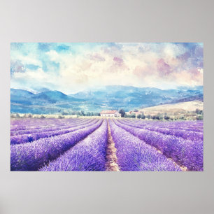 Poster Beaux champs de lavande