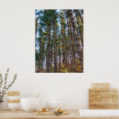 Poster Beaux pins d'automne (Cuisine)
