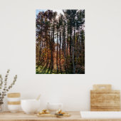 Poster Beaux pins d'automne (Cuisine)