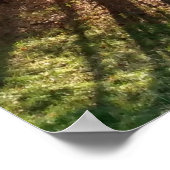 Poster Beaux pins d'automne (Coin)