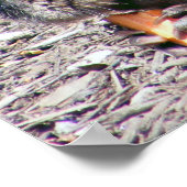 Poster Beaver (Coin)