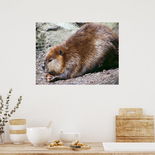 Poster Beaver (Cuisine)