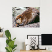 Poster Beaver (Bureau à domicile)