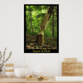 Poster Beaver au travail (Cuisine)