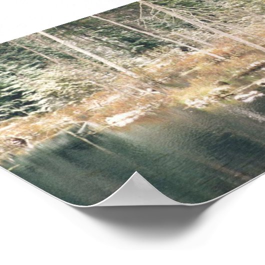 Poster Beaver Pond (Coin)