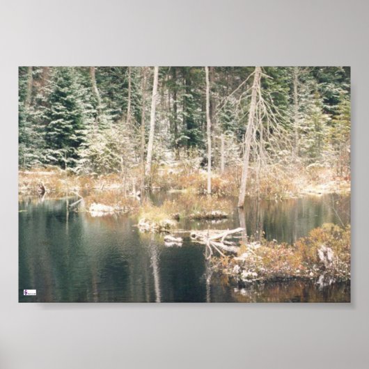 Poster Beaver Pond (Devant)