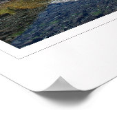 Poster Beaver Pond 02GP (Coin)