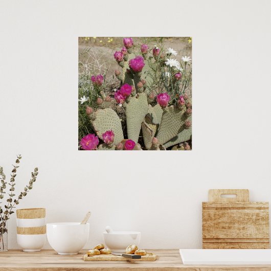 Poster Beavertail Cactus (Cuisine)