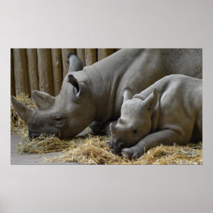 Poster bébé