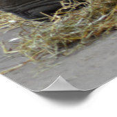 Poster bébé (Coin)