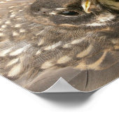 Poster Bébé (Coin)