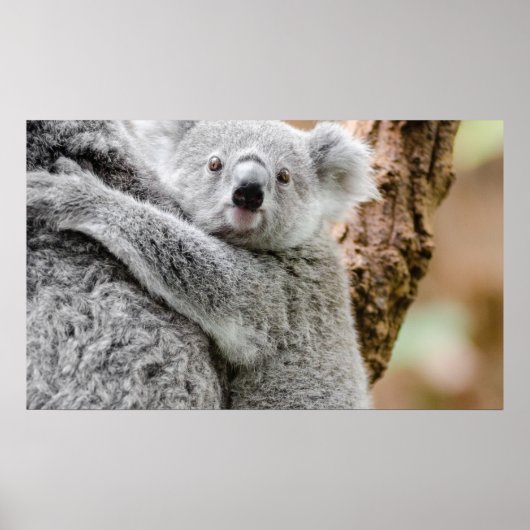 Poster bébé (Devant)