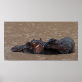 Poster Bébé à bord