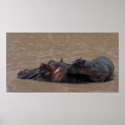 Poster Bébé à bord (Devant)