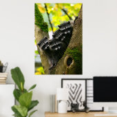 Poster Bébé adorable Raccoons (Bureau à domicile)