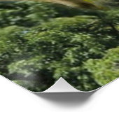 Poster Bébé agneau mouton troupeau troupeau troupeau (Coin)