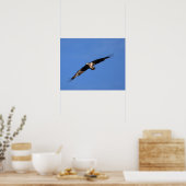 Poster Bébé Aigle de South Jersey ! (Cuisine)
