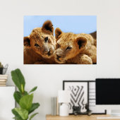 Poster Bébé amour lion (Bureau à domicile)
