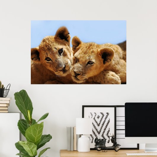 Poster Bébé amour lion (Bureau à domicile)