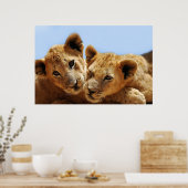 Poster Bébé amour lion (Cuisine)