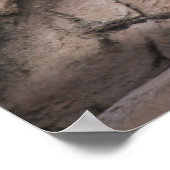 Poster Bébé blanc de bébé de six semaines (Coin)