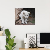 Poster Bébé blanc de bébé de six semaines (Bureau à domicile)