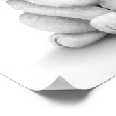 Poster Bébé blanc mignon lapin lapin (Coin)