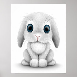 Poster Bébé blanc mignon lapin lapin