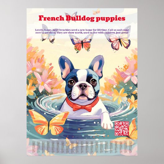 Poster Bébé Bouledogue Français à vendre - Déchirez (Devant)