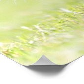 Poster Bébé chat courant sur le terrain d'herbe. (Coin)