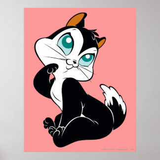 Poster Bébé chatte adorable Kitty