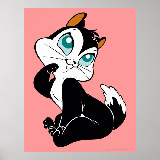 Poster Bébé chatte adorable Kitty (Devant)