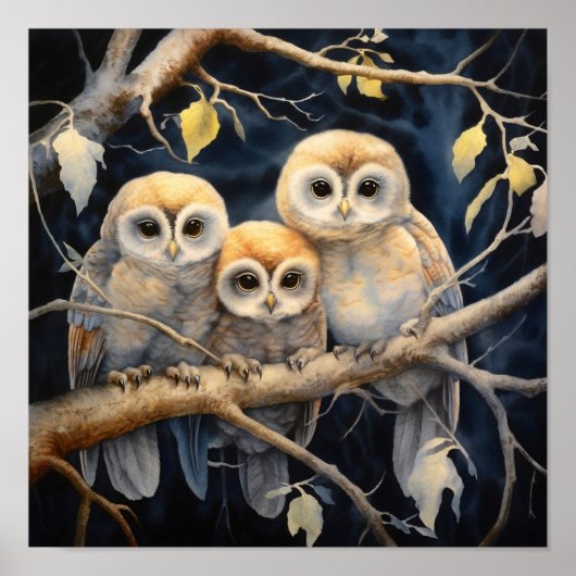 Poster Bébé Chouettes Imprimer (Devant)