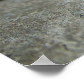 Poster Bébé Cochon en Stylo, Piglet (Coin)