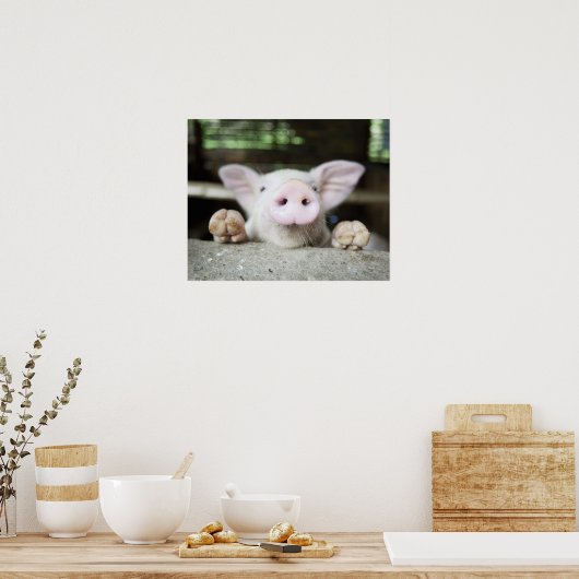 Poster Bébé Cochon en Stylo, Piglet (Cuisine)