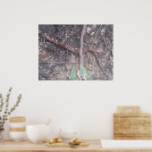 Poster Bébé Cottonmouth Moccasin (Cuisine)