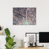 Poster Bébé Cottonmouth Moccasin (Bureau à domicile)