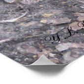 Poster Bébé Cottonmouth Moccasin (Coin)